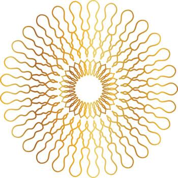 mandala pattern and background design with golden color, flower, texture, circle vector