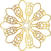 mandala pattern and background design with golden color, flower, texture, circle vector