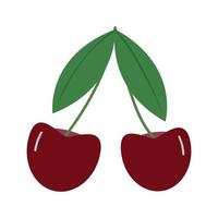 Two cute burgundy cherries with leafs vector