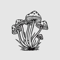 mushrooms hand drawn illustration vector