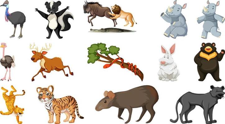 Set of different wild animals cartoon characters