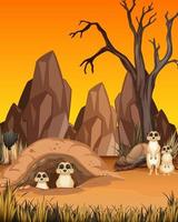 Desert background with meerkats vector