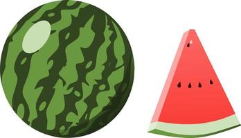 Illustration of watermelon isolated on white background. vector