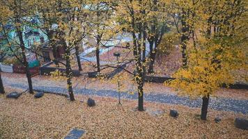 vista dall'alto della casa e degli alberi autunnali in città. bella vista sulla natura colorata autunnale. foglie rosse e gialle che cadono per strada. stagione autunnale con una natura meravigliosa a Stoccolma, in Svezia video