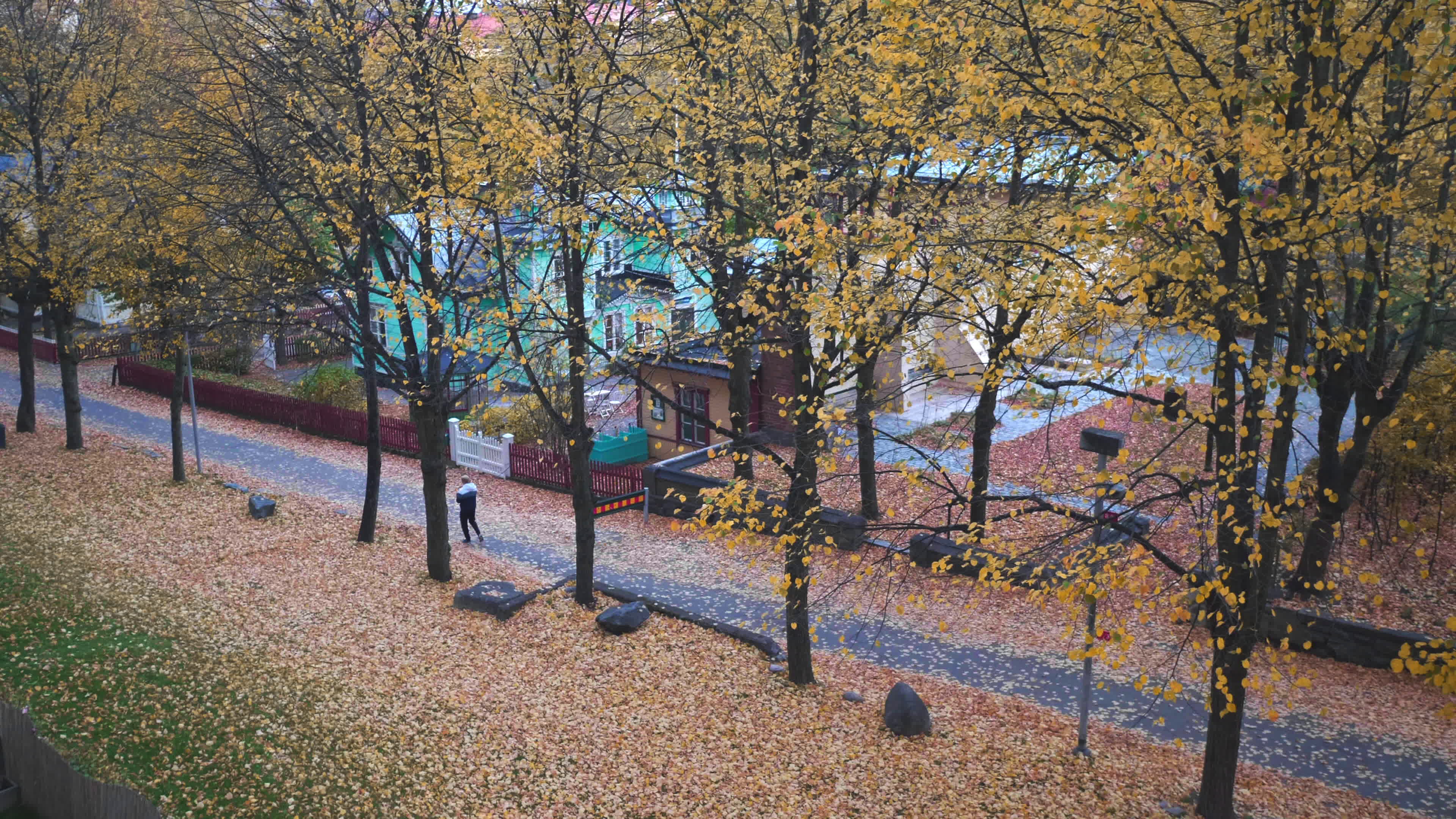 Top View Of Village In Autumn Beautiful Autumn Colorful Nature View And Green House Red And Yellow Leaves Falling And People Walking On The Street Beautiful Nature In Stockholm Sweden Stock