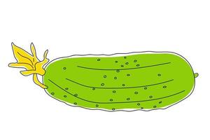 Hand drawn cucumber with flower. vector