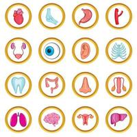 Internal organs icon set vector