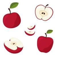 Cartoon style whole red apple with small and big apple slices. 21856535  Vector Art at Vecteezy