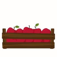 Box of red apples. Apple harvest. Vector
