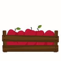 caja de manzanas rojas. cosecha de manzanas. vector