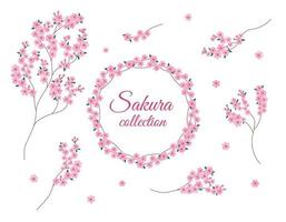 Sakura flowers branches isolated set. Vector collection of Sakura blossom. Design floral elements and round frame on white backround