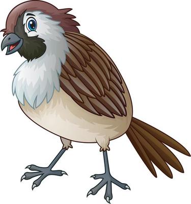 Funny a sparrow bird cartoon