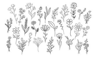 colección de vectores de contorno de flores, botánicos y hojas.