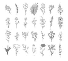 Flowers, botanical and leaves outline vector collection.