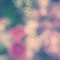 blurred flower background photo