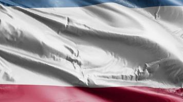 Crimea flag waving on the wind loop. Crimean banner swaying on the breeze. Full filling background. 10 seconds loop. video