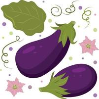 Vector composition of ripe eggplants. Eggplants for the farmer's market, design elements.