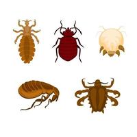 vector de ilustración de conjunto de símbolos de insectos de piojos y insectos