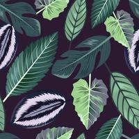 Seamless pattern with tropical beautiful leaves exotic background. vector
