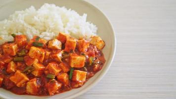 mapo tofu - el plato tradicional de Sichuan de tofu sedoso y carne molida, lleno de sabor mala de aceite de chile y granos de pimienta de Sichuan - estilo de comida asiática video