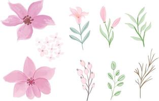 set of watercolor floral Frame wreath with bouquet background abstract vector
