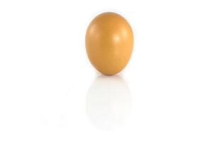 Egg isolated from the others over white background photo
