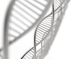 Image of DNA strand photo