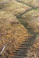 Beautiful way up on the stone stairs with plenty fallen autumn leaves on them. photo