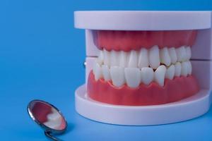 modelo de dientes con herramientas dentales sobre fondo azul