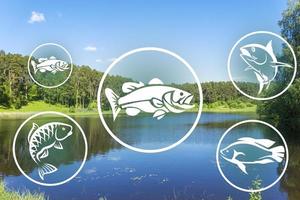River fish icon on a river and forest background. photo