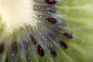 Background of the slice of fresh ripe kiwi. photo