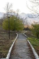 Path, lampposts and trees on an autumn day. photo