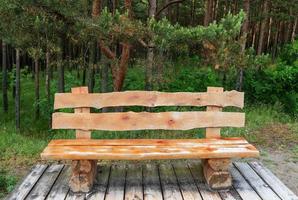Wooden bench made of logs and placed in the forest photo