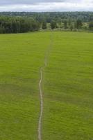 The beaten track in field, side view from the top. photo