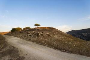 Landscape of Cyprus near Avakas Gorge. Wild nature photo