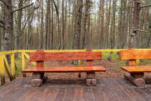 Wooden bench made of logs and placed in the forest photo