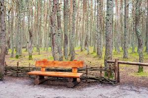 Wooden bench made of logs and placed in the forest photo