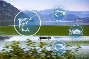 Fish icon on the background of the sea and boats. photo