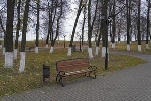 New light brawn bench in park near the alley in falling season in calm weather photo