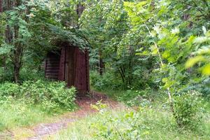 A wooden building of a toilet or toilet in a remote forest in a National Park in Russia on the Curonian Spit. photo
