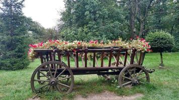 Vintage cart on which flowers are planted Decorative trolley with flowers on a green lawn in summer photo