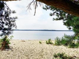 View of the lake through the pines Concept of the paradise corner photo