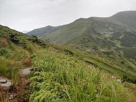 Steep slope in the mountains Karpathians in Ukraine photo