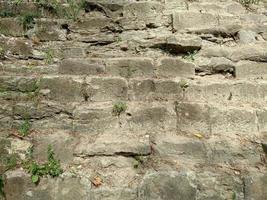 Stone bricks similar to pyramid blocks for background Wall with plants photo