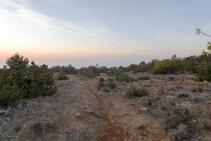 paisaje de chipre cerca del desfiladero de avakas. Naturaleza salvaje foto