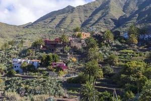 Houses on a hill near the musk gorge on the island of Tenerife. photo