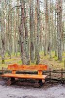 Wooden bench made of logs and placed in the forest photo