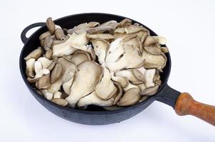 Vegetarian meals. Oyster mushrooms in pan for cooking. Studio Photo