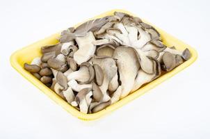 Bunch of fresh cultivated gray oyster mushrooms on white background. Studio Photo