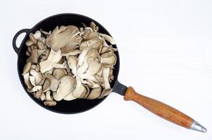 Vegetarian meals. Oyster mushrooms in pan for cooking. Studio Photo